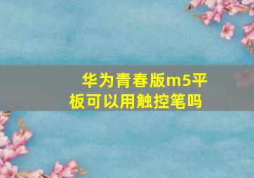 华为青春版m5平板可以用触控笔吗