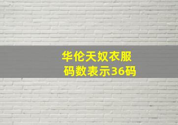 华伦天奴衣服码数表示36码