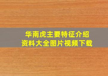 华南虎主要特征介绍资料大全图片视频下载