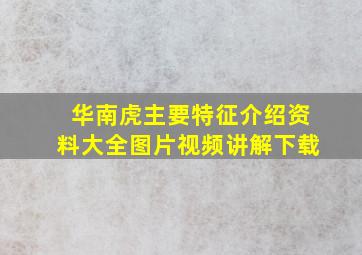 华南虎主要特征介绍资料大全图片视频讲解下载