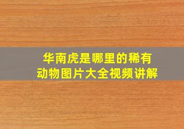 华南虎是哪里的稀有动物图片大全视频讲解