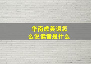 华南虎英语怎么说读音是什么