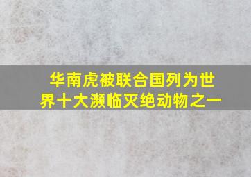 华南虎被联合国列为世界十大濒临灭绝动物之一