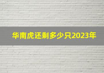 华南虎还剩多少只2023年