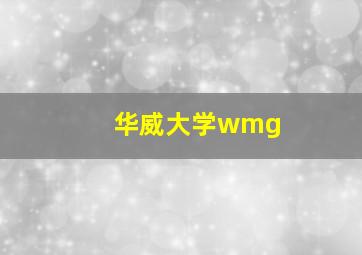 华威大学wmg