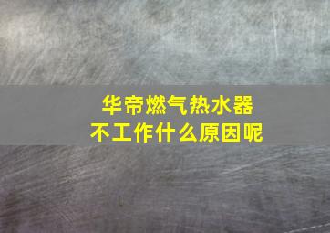 华帝燃气热水器不工作什么原因呢