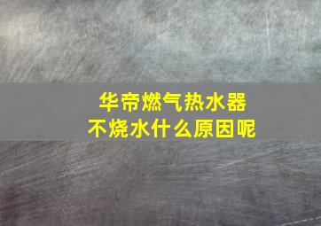 华帝燃气热水器不烧水什么原因呢