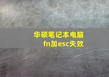 华硕笔记本电脑fn加esc失效