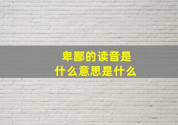 卑鄙的读音是什么意思是什么