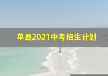 单县2021中考招生计划