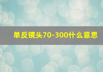 单反镜头70-300什么意思