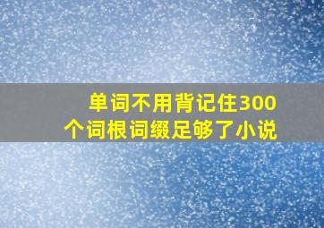 单词不用背记住300个词根词缀足够了小说