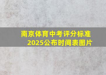 南京体育中考评分标准2025公布时间表图片