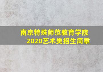 南京特殊师范教育学院2020艺术类招生简章