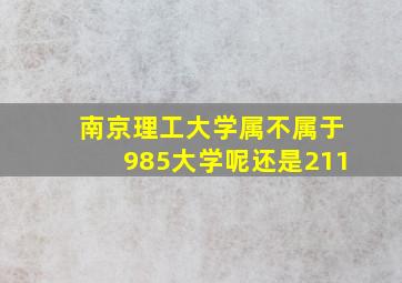 南京理工大学属不属于985大学呢还是211