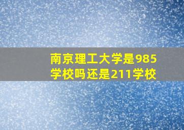 南京理工大学是985学校吗还是211学校