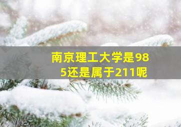 南京理工大学是985还是属于211呢