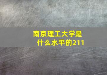 南京理工大学是什么水平的211