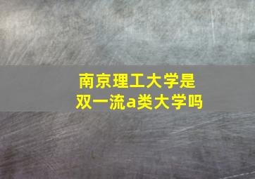 南京理工大学是双一流a类大学吗