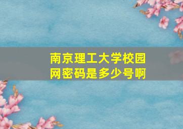 南京理工大学校园网密码是多少号啊