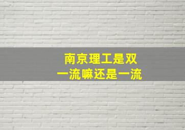 南京理工是双一流嘛还是一流