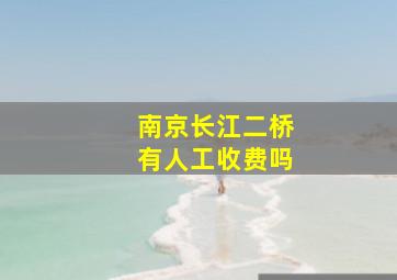 南京长江二桥有人工收费吗