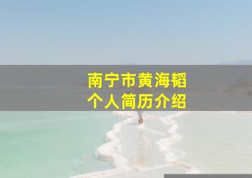 南宁市黄海韬个人简历介绍