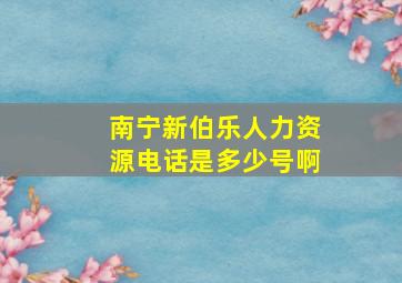 南宁新伯乐人力资源电话是多少号啊