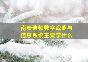 南安普顿数字战略与信息系统主要学什么