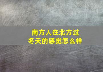 南方人在北方过冬天的感觉怎么样