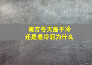 南方冬天是干冷还是湿冷呢为什么