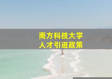 南方科技大学人才引进政策