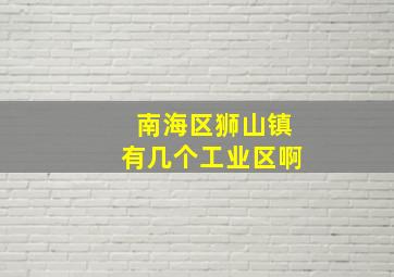 南海区狮山镇有几个工业区啊