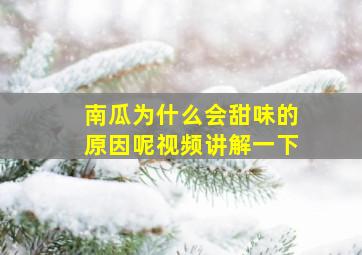 南瓜为什么会甜味的原因呢视频讲解一下