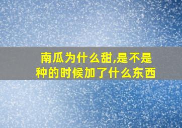 南瓜为什么甜,是不是种的时候加了什么东西