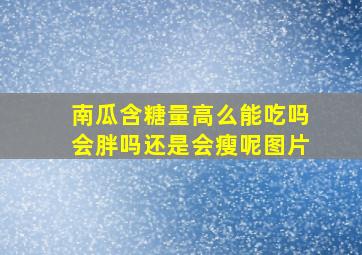 南瓜含糖量高么能吃吗会胖吗还是会瘦呢图片