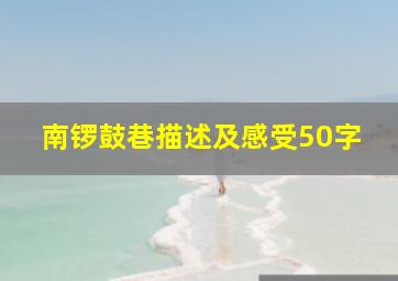 南锣鼓巷描述及感受50字