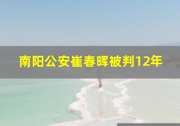 南阳公安崔春晖被判12年