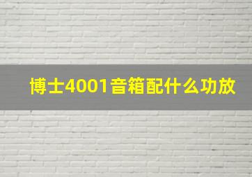 博士4001音箱配什么功放