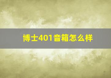 博士401音箱怎么样