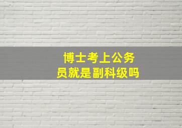 博士考上公务员就是副科级吗