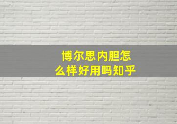 博尔思内胆怎么样好用吗知乎