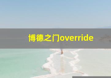 博德之门override