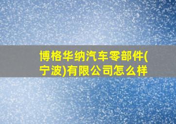 博格华纳汽车零部件(宁波)有限公司怎么样