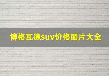 博格瓦德suv价格图片大全