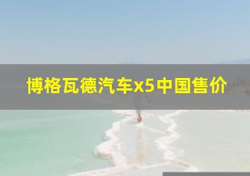 博格瓦德汽车x5中国售价