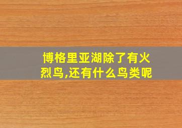 博格里亚湖除了有火烈鸟,还有什么鸟类呢