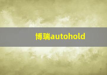 博瑞autohold