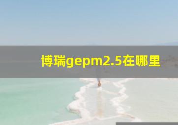 博瑞gepm2.5在哪里