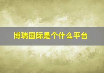 博瑞国际是个什么平台